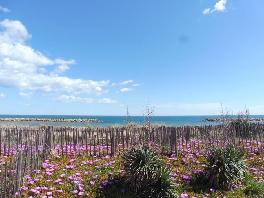 Le Petit Coin De Paradis. Valras-Plage Exterior photo