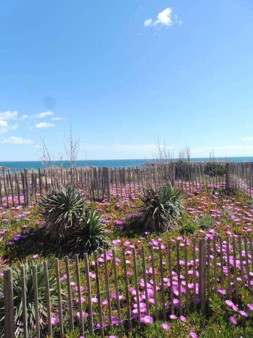 Le Petit Coin De Paradis. Valras-Plage Exterior photo